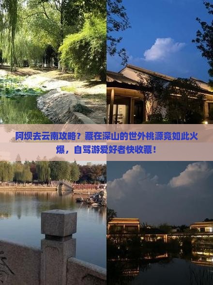 阿坝去云南攻略