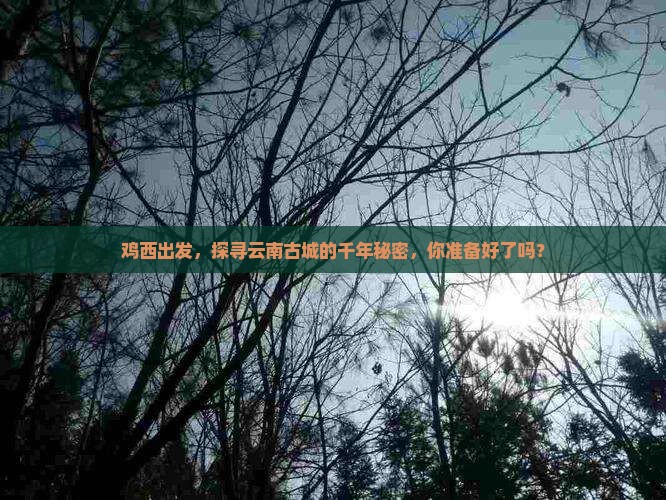 鸡西到云南古城景点