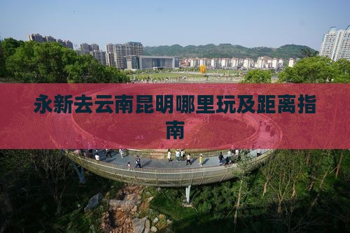 永新去云南昆明哪里玩
