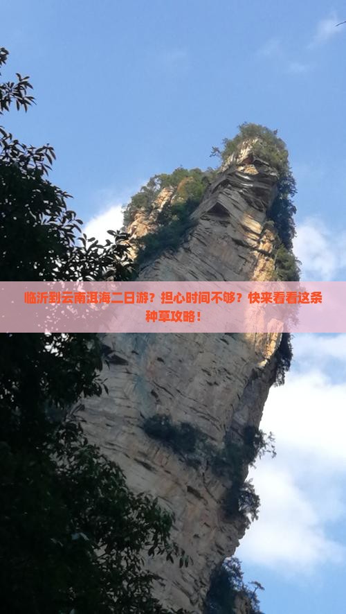 临沂到云南洱海二日游