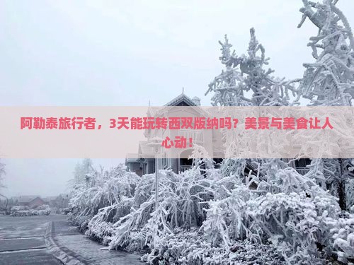 阿勒泰到云南西双版纳景点