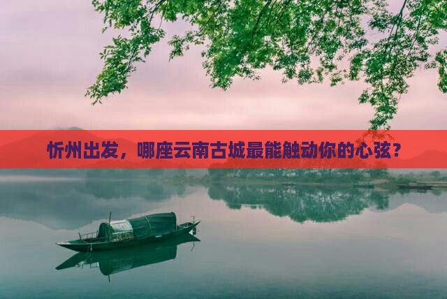 忻州到云南古城景点