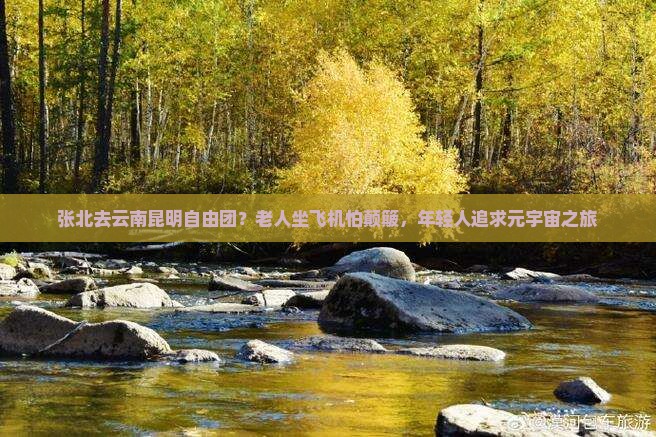 张北去云南昆明自由团