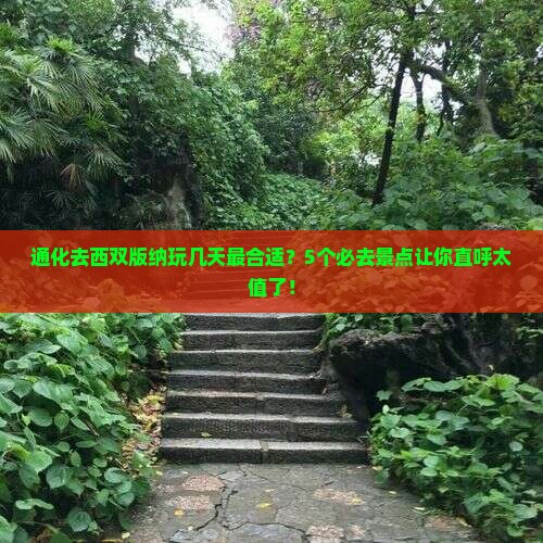 通化去云南西双版纳旅行社