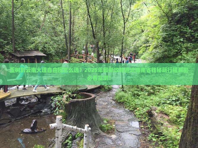 玉树到云南大理自由团