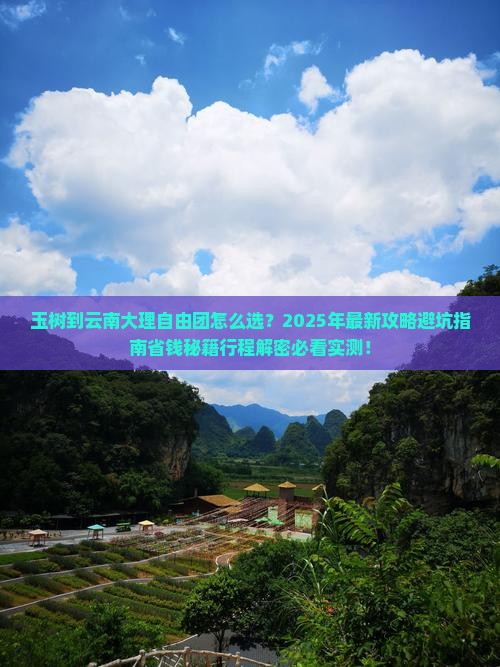 玉树到云南大理自由团