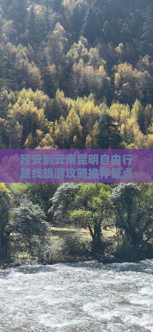 延安去云南昆明自由行