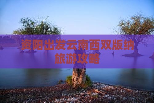 资阳去云南西双版纳自由团