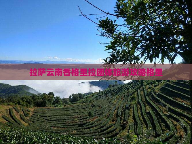拉萨到云南香格里拉团体旅游