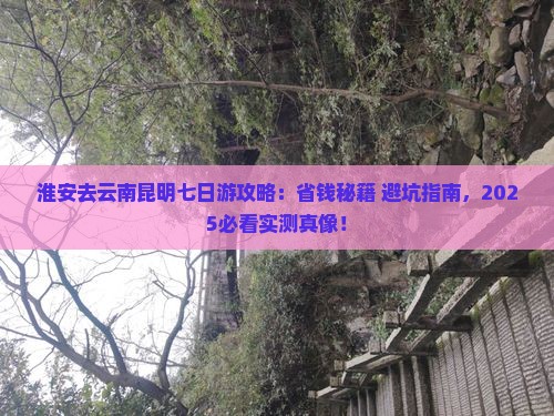 淮安去云南昆明七日游