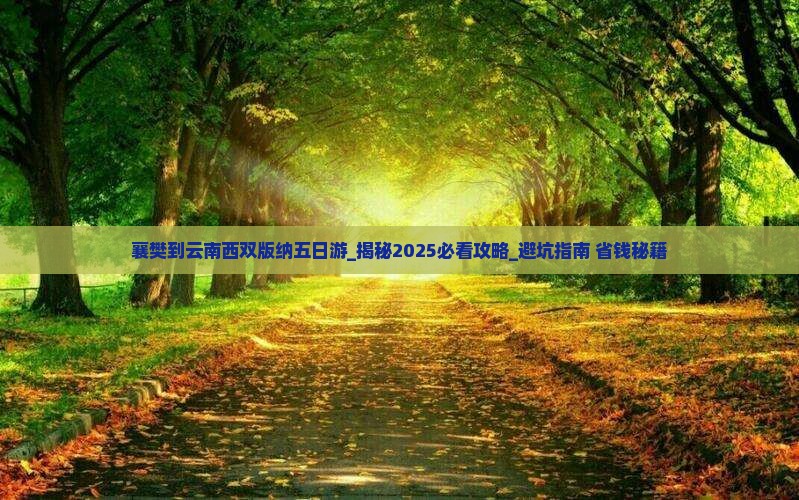襄樊到云南西双版纳五日游