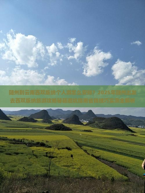 随州到云南西双版纳个人游