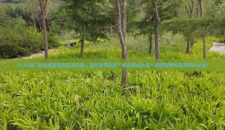 荆门到云南温泉四日游