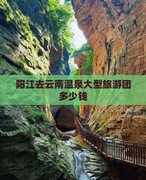 阳江去云南温泉大型旅游团