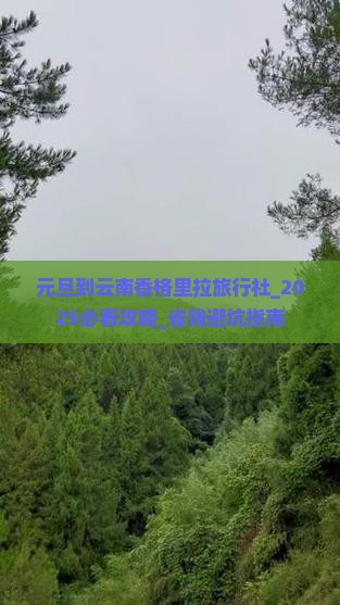 元旦到云南香格里拉旅行社