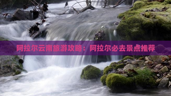 阿拉尔去云南哪里玩