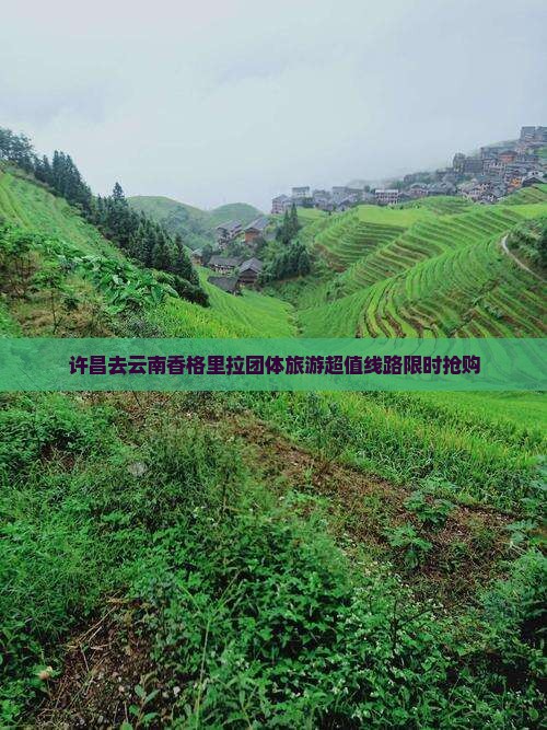许昌去云南香格里拉团体旅游