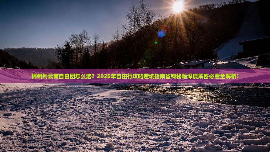 锦州到云南自由团