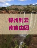 锦州到云南自由团