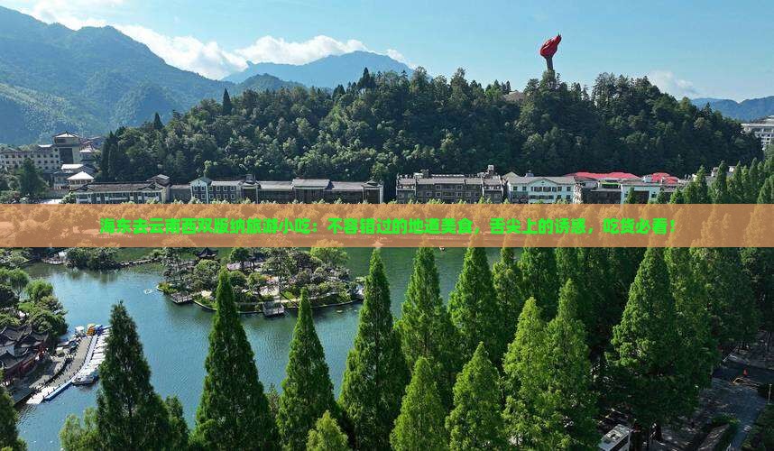 海东去云南西双版纳旅游小吃