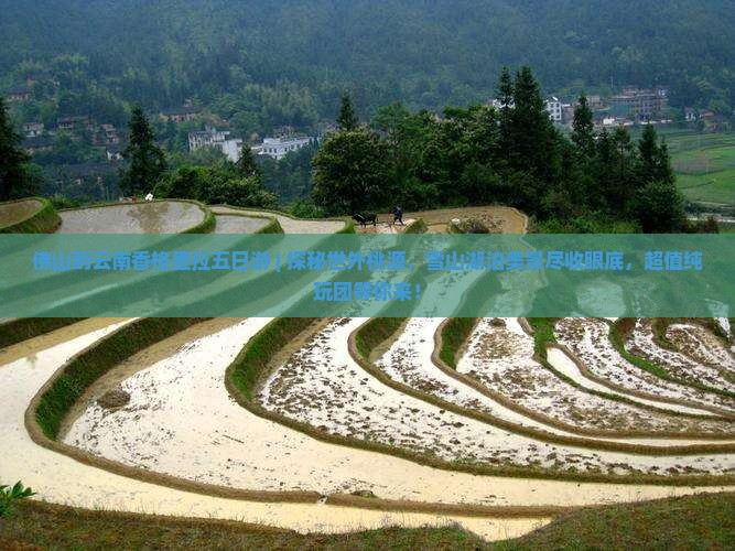 佛山到云南香格里拉五日游