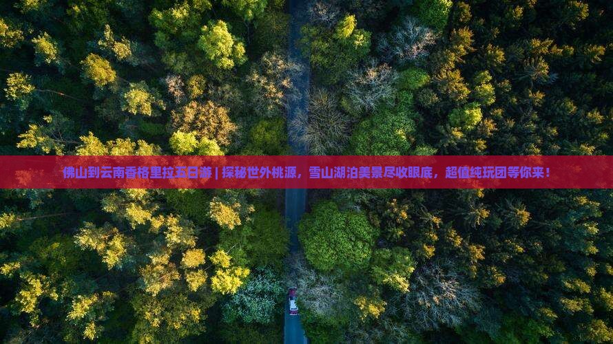 佛山到云南香格里拉五日游