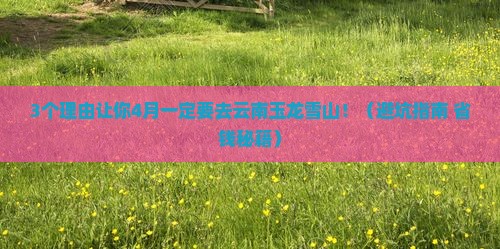 四月到云南玉龙雪山团体旅游