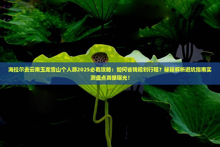 海拉尔去云南玉龙雪山个人游