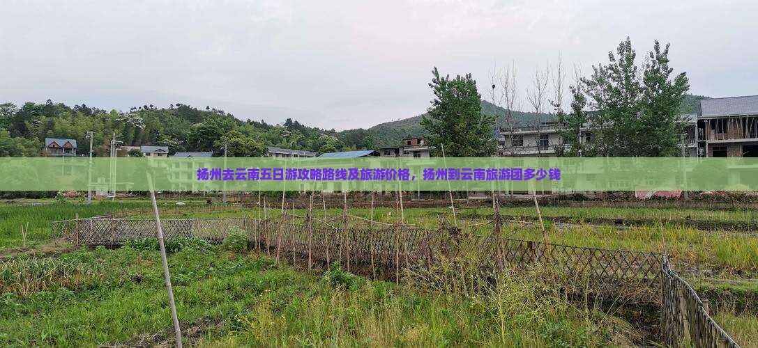 扬州去云南五日游 扬州去云南五日游