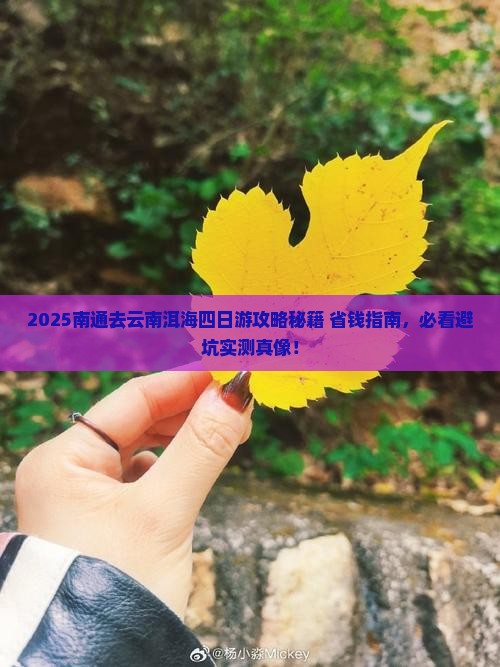 南通去云南洱海四日游