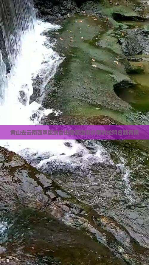 黄山去云南西双版纳自由团