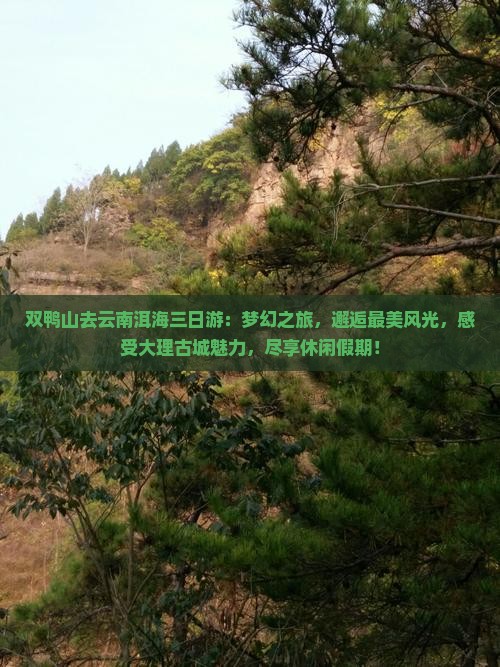 双鸭山去云南洱海三日游