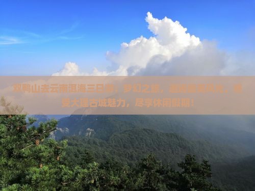双鸭山去云南洱海三日游