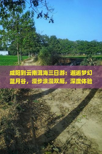咸阳到云南洱海三日游