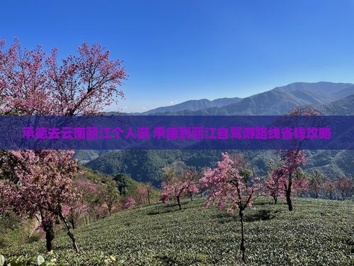 承德去云南丽江个人游