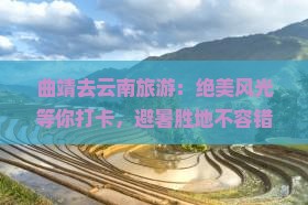 曲靖去云南旅游