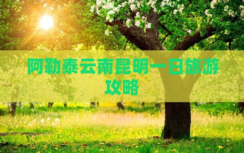 阿勒泰去云南昆明一日