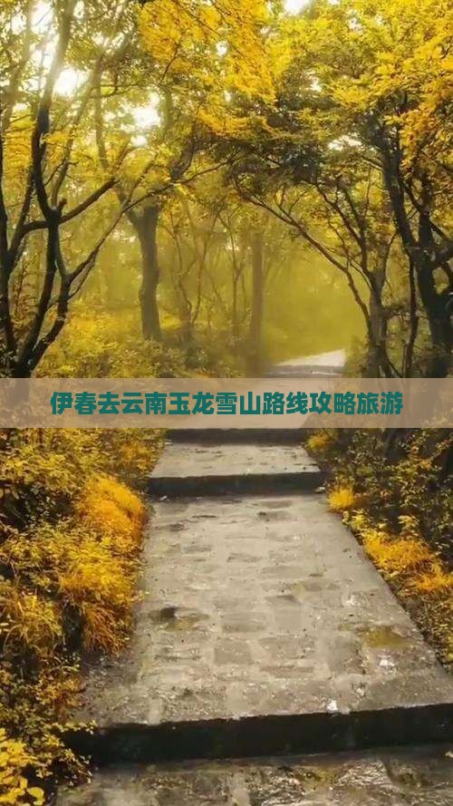 伊春去云南玉龙雪山个人游