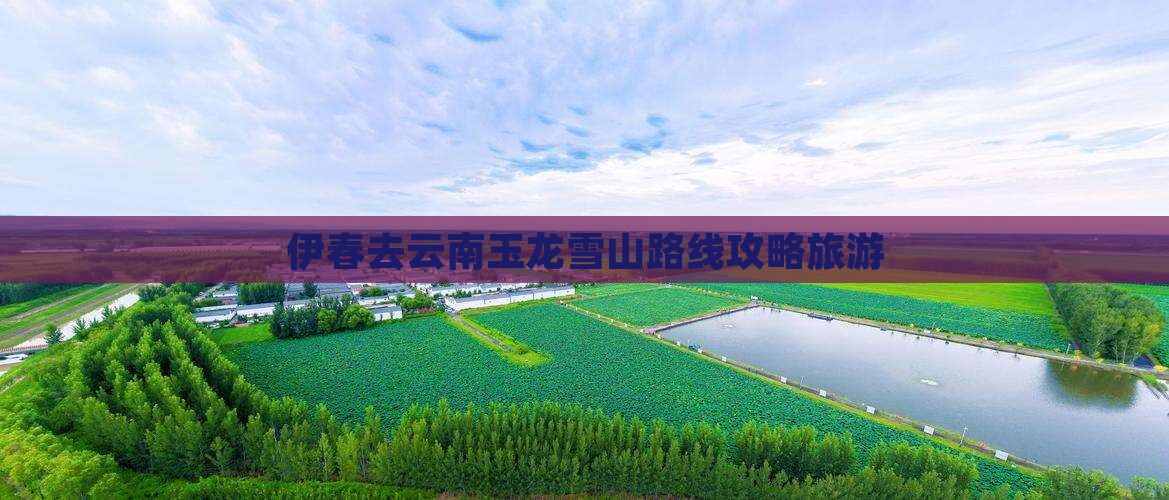 伊春去云南玉龙雪山个人游