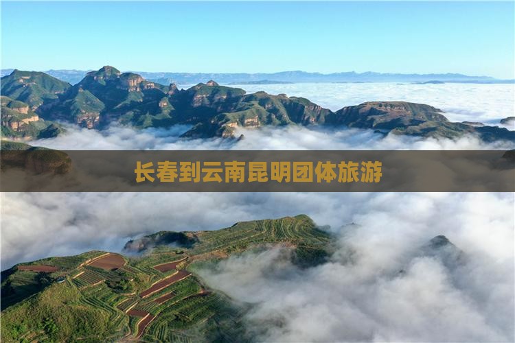 长春到云南昆明团体旅游