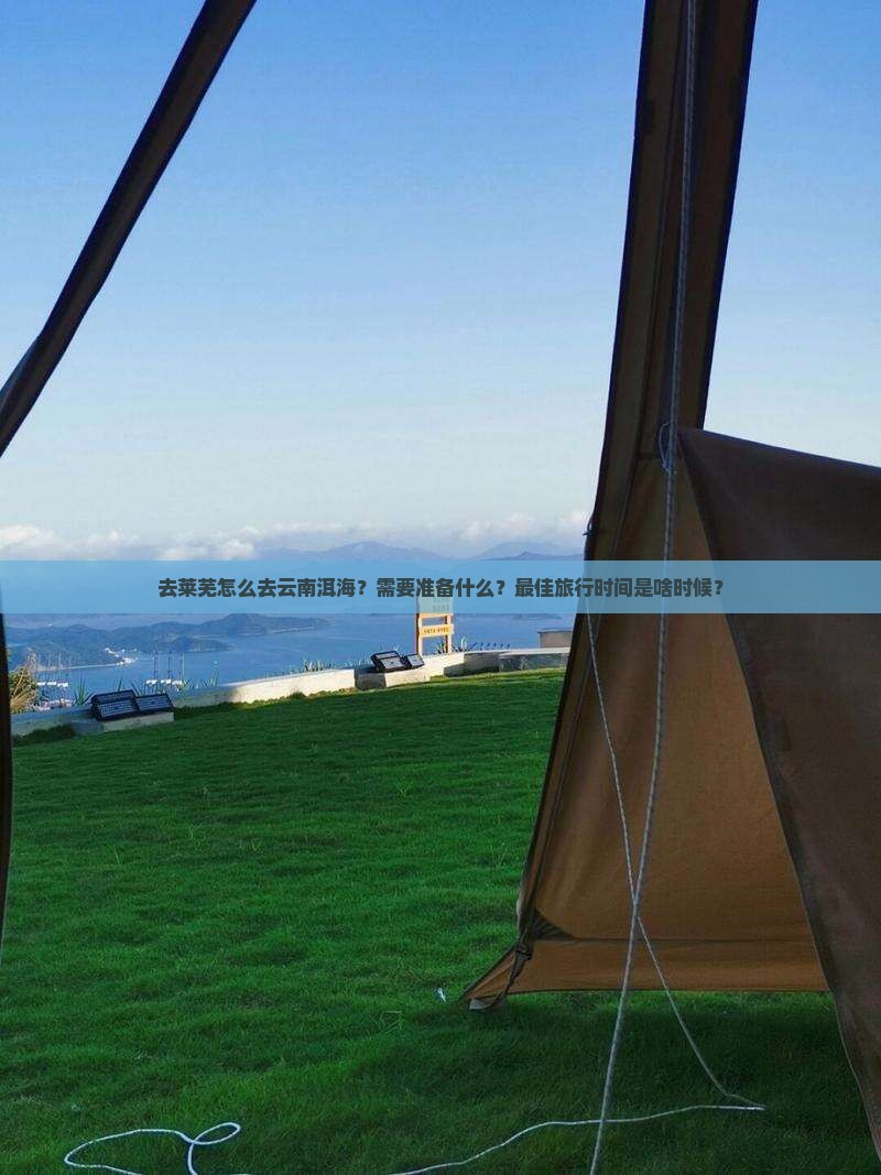 莱芜去云南洱海攻略