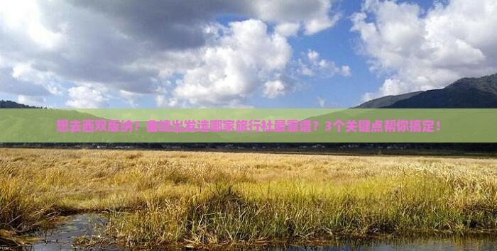 曲靖到云南西双版纳旅行社