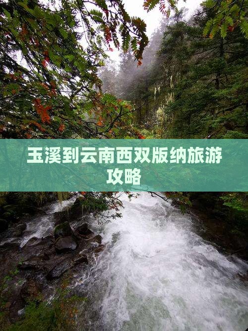 玉溪去云南西双版纳团体旅游