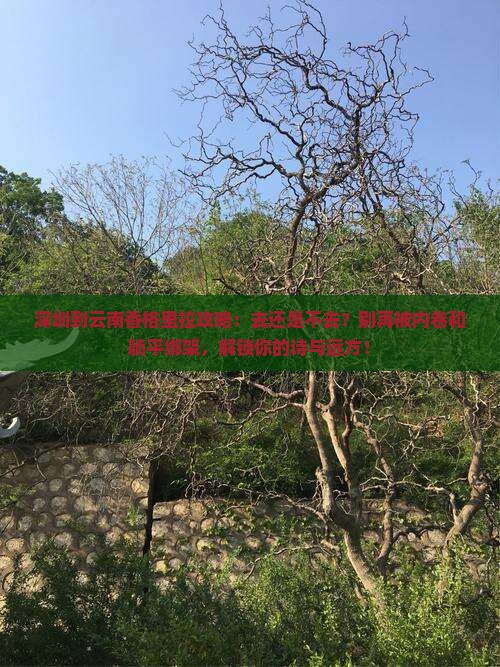 深圳到云南香格里拉攻略