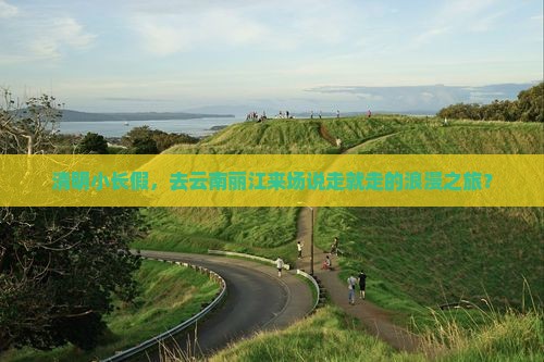 清明节到云南丽江二日游
