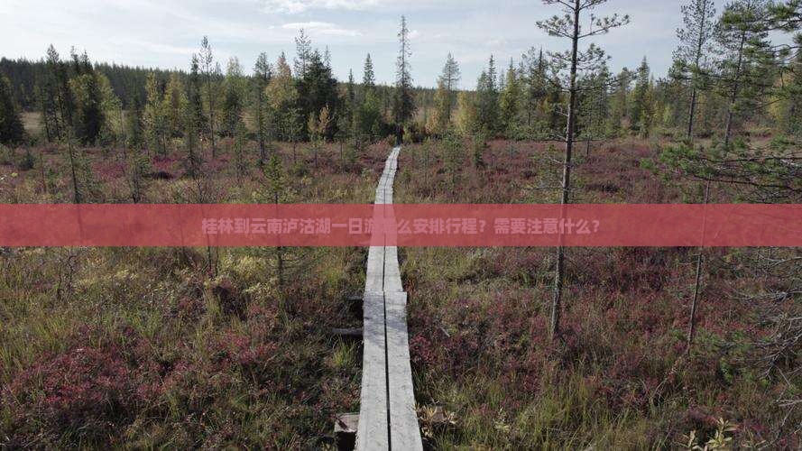 桂林到云南泸沽湖一日