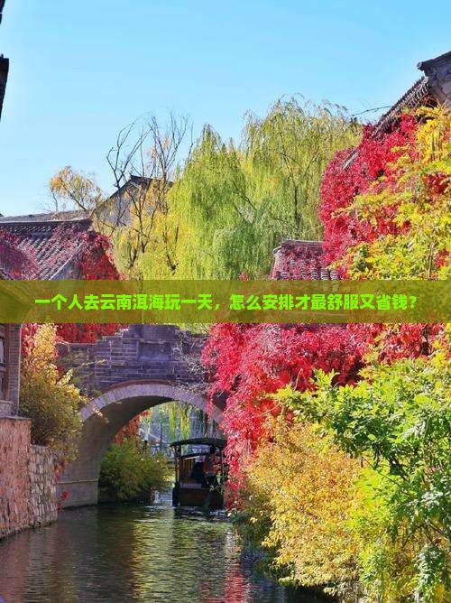鹤岗去云南洱海一日