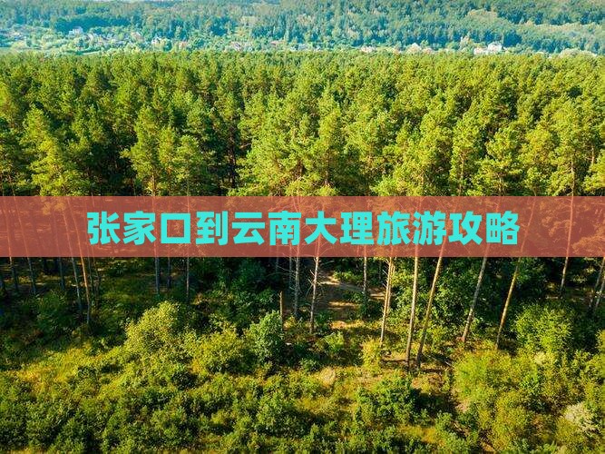 张家口到云南大理个人游