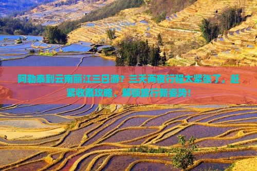 阿勒泰到云南丽江三日游