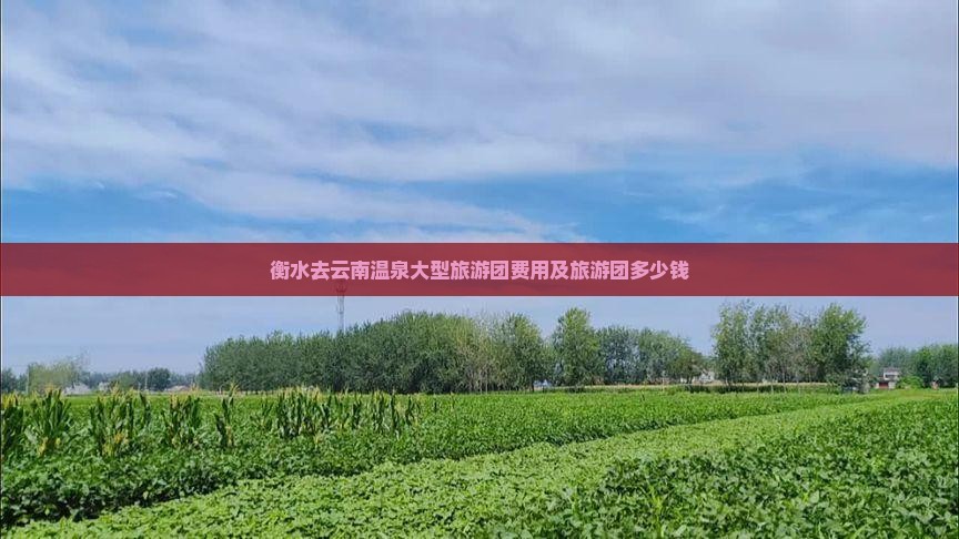 衡水去云南温泉大型旅游团